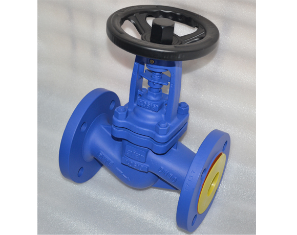 Bellows globe valves